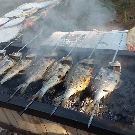 Gazde/Camere de închiriat Kayakoey Pansiyon *