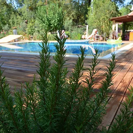 Kayakoey Pansiyon Homestay