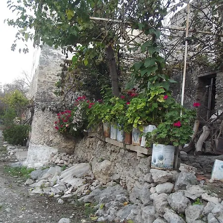 Kayakoey Pansiyon Homestay